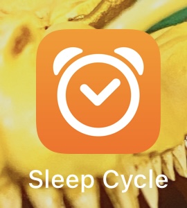 2021年最後のしりブロ〜みんなありがとう〜