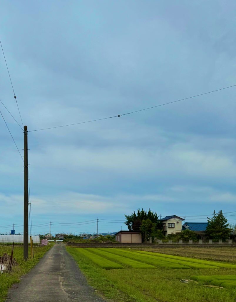 恐怖体験にしてはインパクトに欠ける。